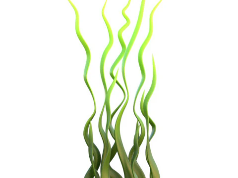 Rumput laut 8 Model 3D