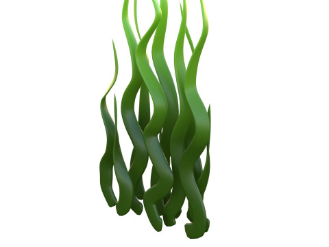 Algen 8 3D Modell