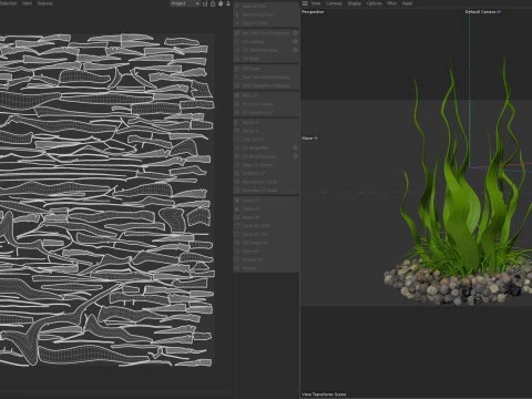 Seaweed 10 3D Model