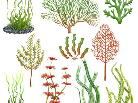 해초 수집 3D 모델