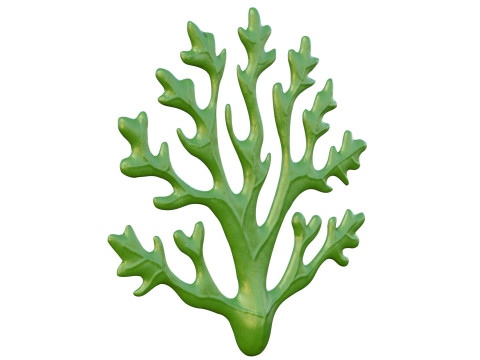 Seaweed collection 3D Model