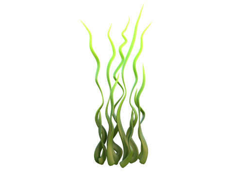 Seaweed collection 3D Model