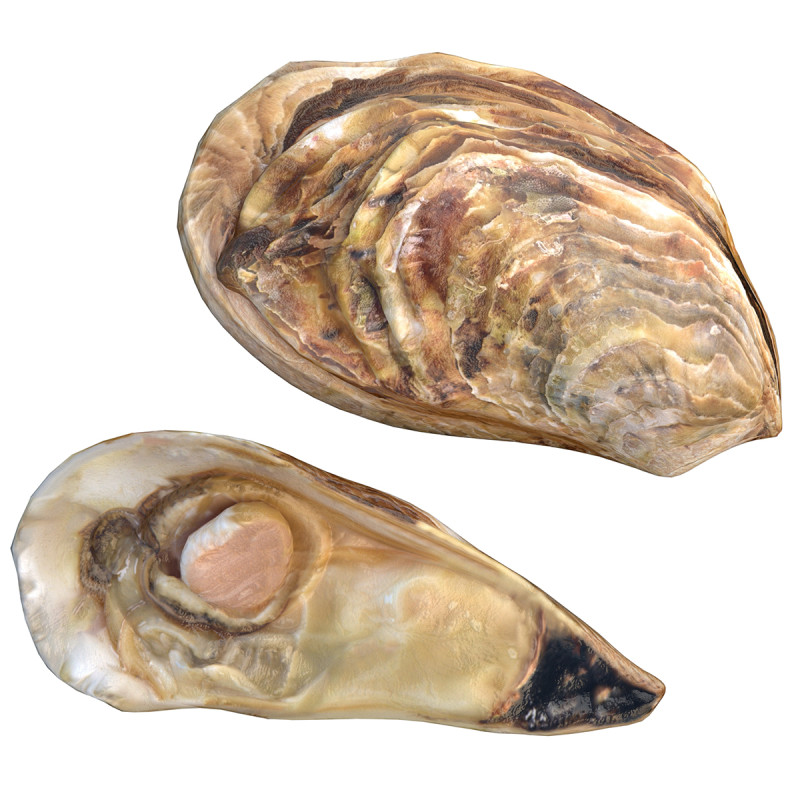 农用车合集v2 3D 模型 .c4d .max .obj .3ds .fbx .stl .blend 