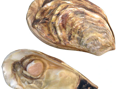 농업용 차량 수집 v2 3D 모델