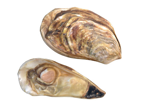 农用车合集v2 3D 模型