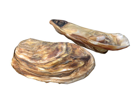 农用车合集v2 3D 模型