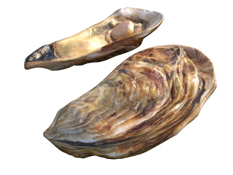 农用车合集v2 3D 模型