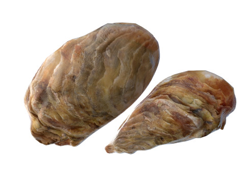 农用车合集v2 3D 模型