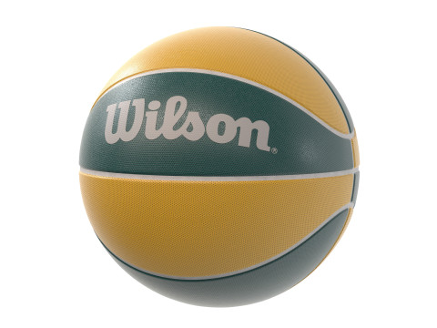 Red de baloncesto y pelotas de baloncesto. Modelo 3D