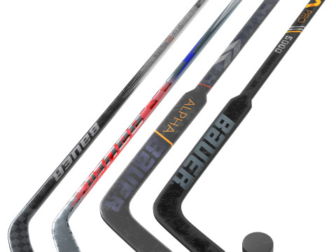 Tongkat dan Puck Hoki Bauer Model 3D