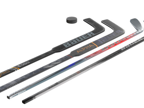 Tacos e disco de hóquei Bauer Modelo 3D