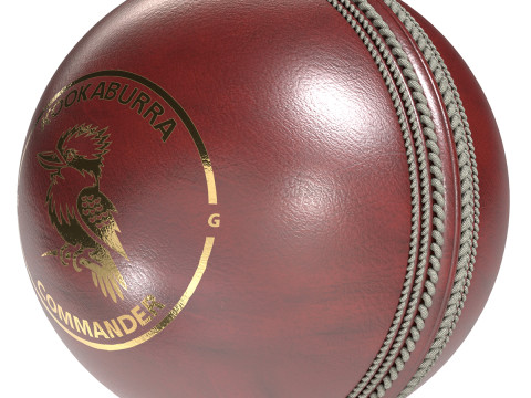 クリケット ボールの赤いワライカワセミ 3Dモデル