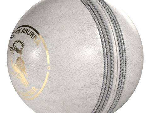 クリケット ボールの白いワライカワセミ 3Dモデル