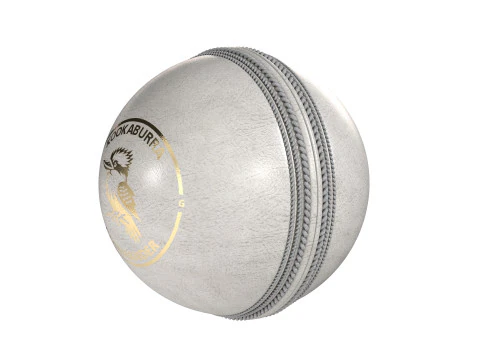 Cricket ball white kookaburra 3D Model