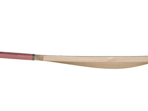 Cricket bat 3D Model