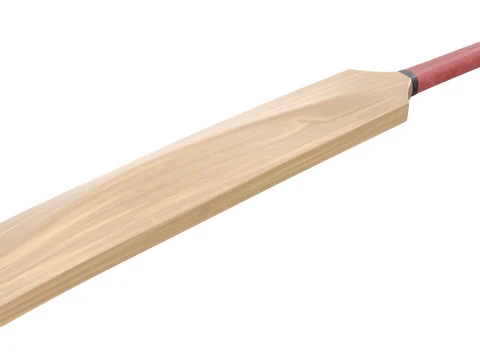 Cricket bat 3D Model
