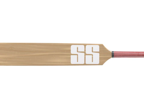 Cricket bat 3D Model