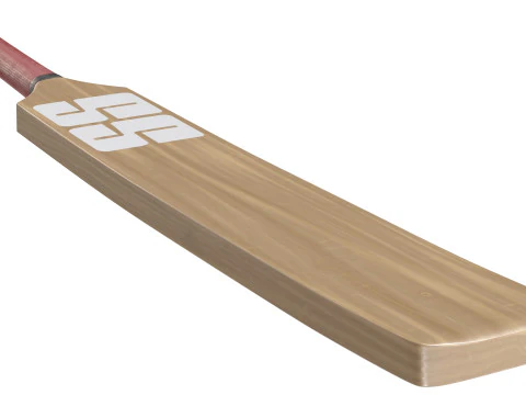 Cricket bat 3D Model