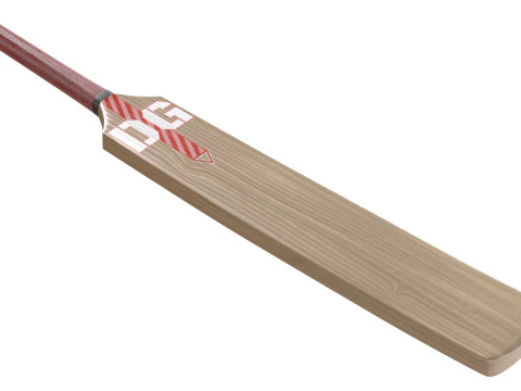 Cricket bat 2 3D Model