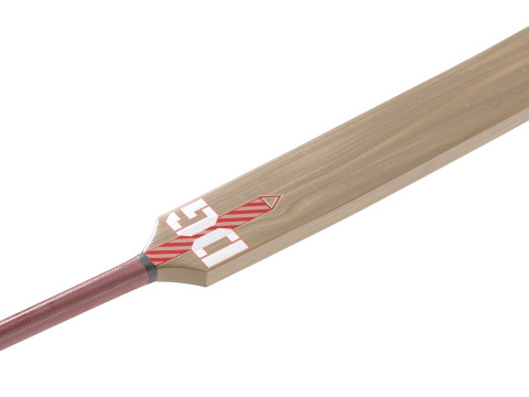Mazza da cricket 2 Modello 3D