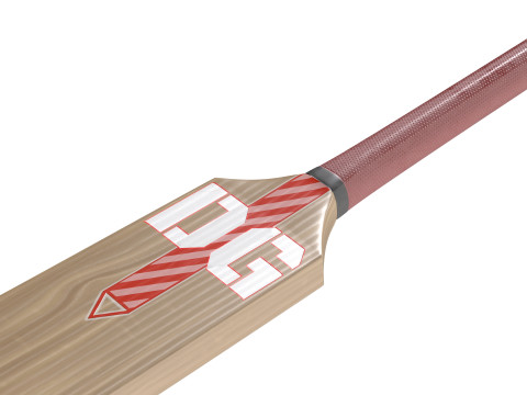 Mazza da cricket 2 Modello 3D