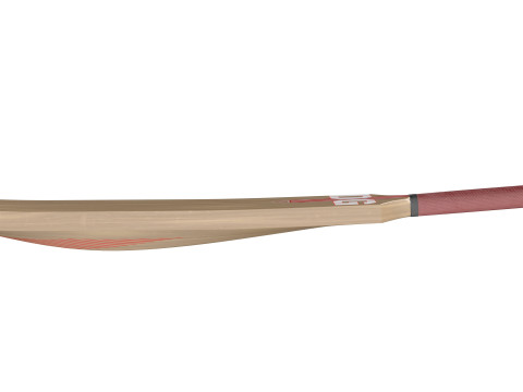 Mazza da cricket 2 Modello 3D