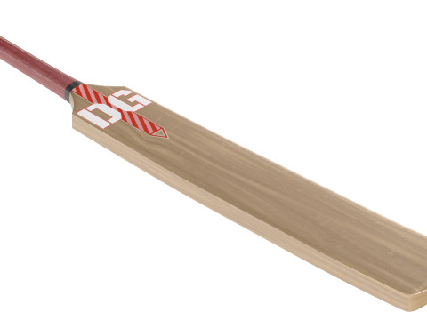 Mazza da cricket 2 Modello 3D