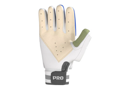 Cricket gloves 3D Model