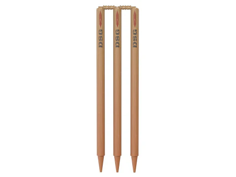 Cricket stump wicket 3D Model