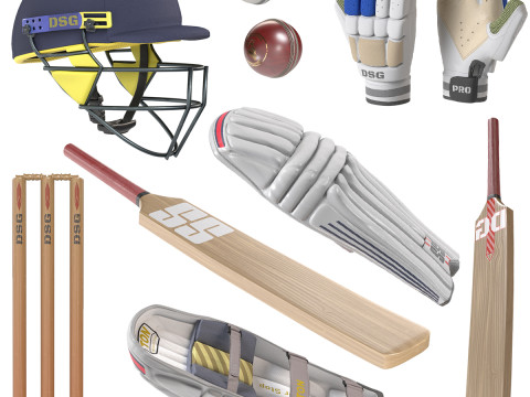 Colección de deportes de críquet Modelo 3D