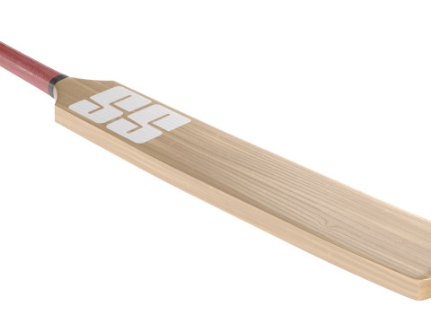 Cricket Sports collection 3D Model