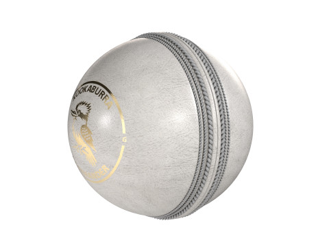 Cricket Sports collection 3D Model