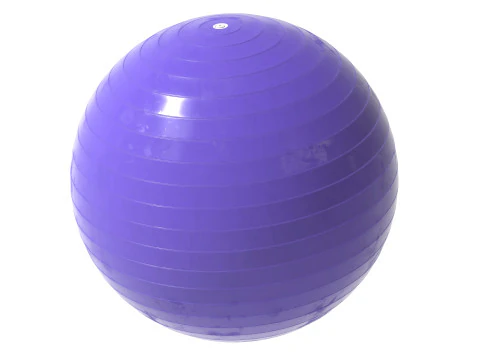 Fit Gym ball 3D Model
