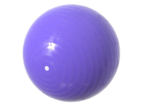 Fit Gym ball 3D Model