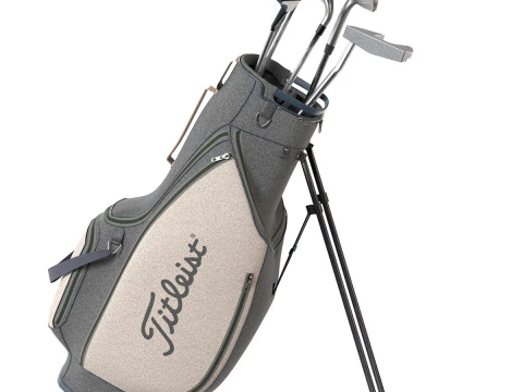 Mazze e putter per sacche da golf Modello 3D