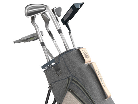 高尔夫球包球杆和推杆 3D 模型