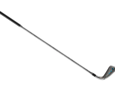 Golf club1 3D Model