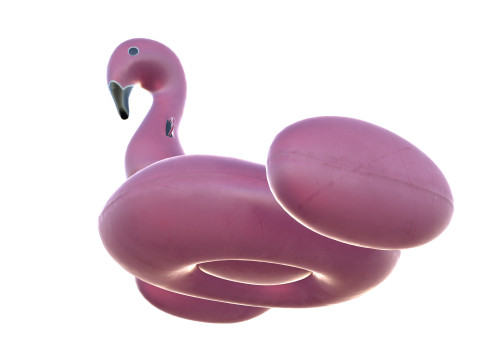 Cigno gonfiabile della piscina Modello 3D