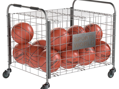 Almacenamiento de bolas de metal acero y baloncesto spalding Modelo 3D