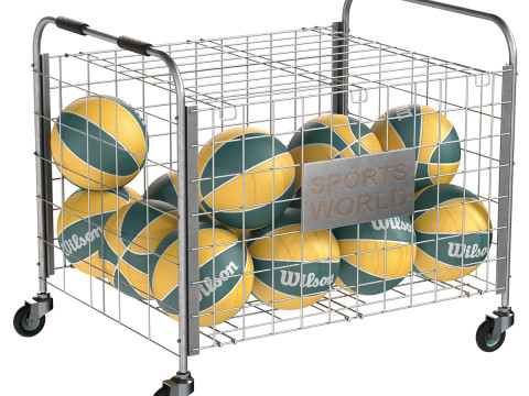 Almacenamiento de bolas de metal acero y baloncesto wilson. Modelo 3D