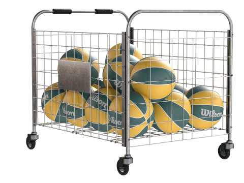 Metal ball storage steel and basketball wilson 3D Model