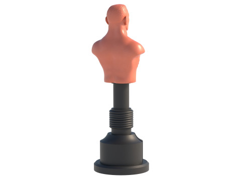 Opponent Training Dummy 3D Model