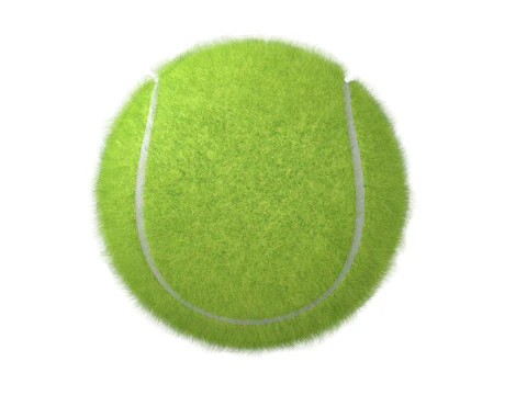 Paddle Tennis Racket and Tennis ball 3D Model