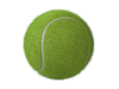 Paddle Tennis Racket and Tennis ball 3D Model