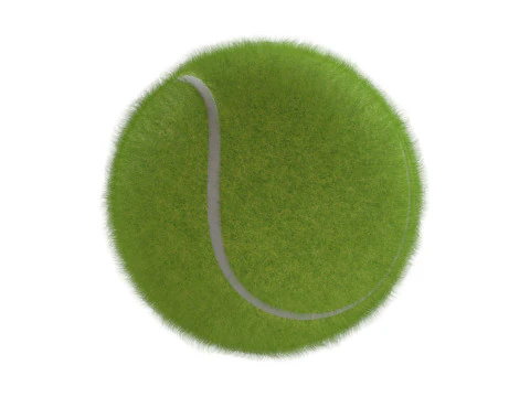 Paddle Tennis Racket and Tennis ball 3D Model