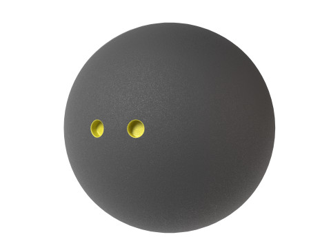 Squashbal 3D Model