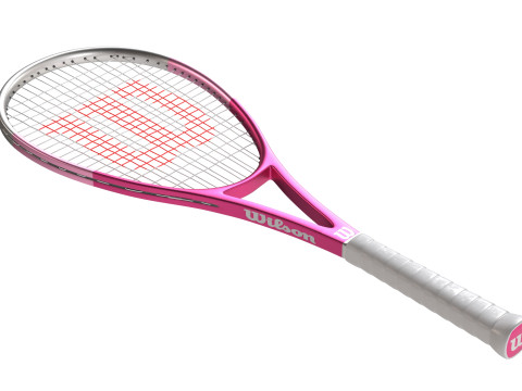 Collection de raquettes de squash Modèle 3D