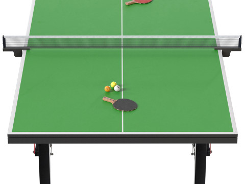 乒乓球拍 乒乓球 3D 模型