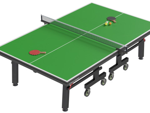 Bola de pingue-pongue de raquete de tênis de mesa Modelo 3D