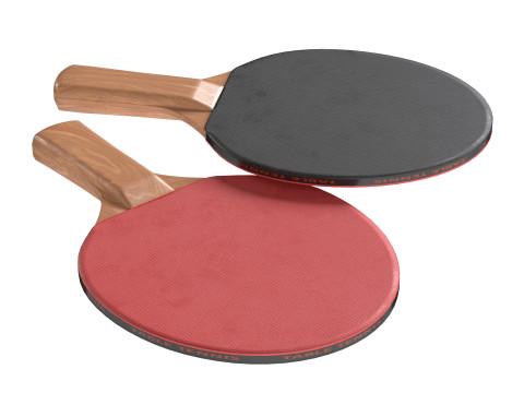 乒乓球拍 3D 模型